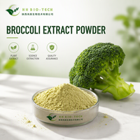 Poudre d'extrait de pousses de brocoli de qualité alimentaire, 1 % de sulforaphane, extrait de Brassica Oleracea, en vrac, fourni par l'usine