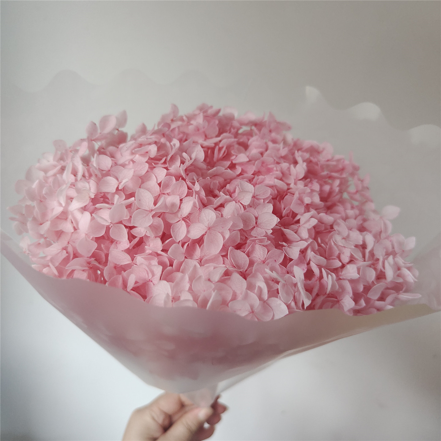 Light sakura pink, 18-21 cm