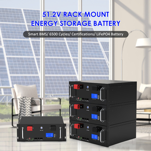 Batterie de stockage d'énergie DELONGTOP 24V 200AH 48V 100AH 5KWH, pack de batteries lithium-ion LFPBE24200 / LFP-BE48100, batterie Lifepo4 24v - Product Image 2