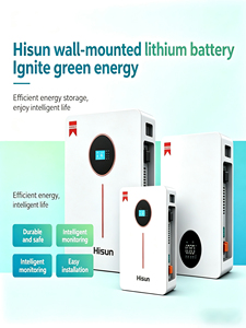 히순 51.2V 100Ah 리튬인산철(LiFePO4) 벽걸이형 배터리 6000+ 사이클 수명 무보수 산업용 및 가정용 에너지 저장 범용 배터리 - Product Image 2