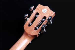 De china, venta al por mayor de marca Simger <span class=keywords><strong>ukelele</strong></span> diseños soprano 21 <span class=keywords><strong>mini</strong></span> ukulele - Product Image 3