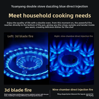 Cuisinière à gaz double brûleur en acier inoxydable, plaque de cuisson GPL haute puissance avec protection anti-extinction de flamme pour la cuisine domestique