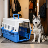 Cage de transport pour animaux de compagnie classique et élégante en plastique solide, avec bouton-pression anti-évasion, résistante à la corrosion, simple