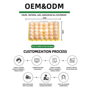 Plateau à œufs en plastique 30 alvéoles avec base et couvercle séparés, en PET transparent et durable, pour l'emballage, le transport et le stockage des œufs de poule en ferme et en commerce de détail - Product Image 4