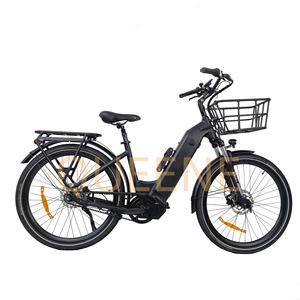 QUEENE/48V250W 500W entraînement par courroie vélo de ville électrique pour femmes vélo électrique motorisé central avec 7 vitesses intérieures - Product Image 1