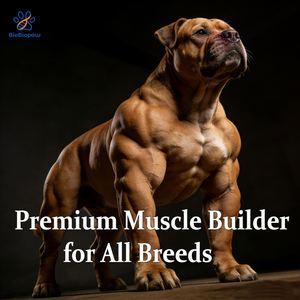 11'i 1 Arada Kas Geliştirici Çiğneme Tabletleri, Yüksek Protein ve Amino Asit İçeren Köpekler İçin Kilo Aldırıcı Takviye, Evcil Hayvanlar İçin Premium Kas Geliştirici Yumuşak Çiğneme Tabletleri - Product Image 2