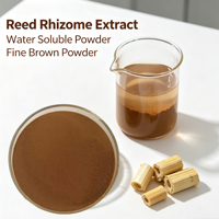 Extrait de Phragmites Communis 10:1 20:1 en poudre, qualité alimentaire, extrait de rhizome de roseau, directement de l'usine