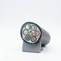 Cable de Alimentación de Cobre de Bajo Voltaje Premium con Revestimiento de PVC y Múltiples Clasificaciones de Corriente para Distribución de Energía