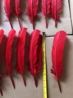 Plumes de dinde blanches teintées en gros pour artisanat, bricolage, coiffes, chapeaux, costumes, accessoires de cosplay, carnaval, fête, mariage