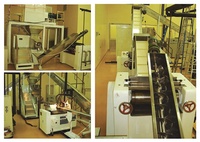 Détergent barre de blanchisserie savon faisant la ligne d'arrivée de machine