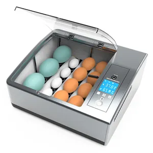 Incubadora automática de huevos de gallina, pato, Paloma, codorniz, alta calidad