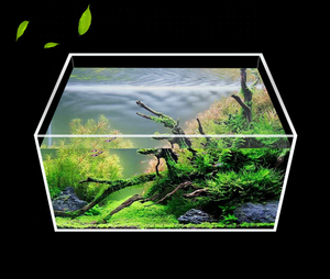 Aquarium miniature en acrylique personnalisé, aquarium de bureau miniature, aquarium miniature pour poissons rouges - Product Image 3