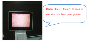 High Definition UV Magic Mirror Face Scanner Digital Facial Dermoscopy Wireless Wifi Skin Hair Scalp Analyzer Machine - Product Image 6