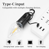 Lampe de camping LED portable créative, ampoule à filament de tungstène, lumière du jour, étanche, batterie intégrée, utilisation en extérieur