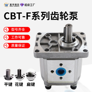 New CBT-F304 CBT-F310 CBT-F316 Gear <b>Pumps</b> and CBT-F320 CBT-F325 Hydraulic <b>Oil</b> <b>Pumps</b> - Product Image 3