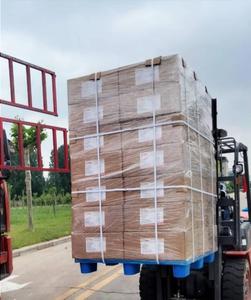 ผงนิซินเกรดอาหาร E234 ราคาดี 900IU สารกันบูดจากธรรมชาติ - Product Image 5