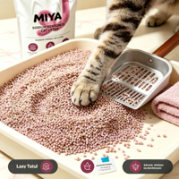 Litière pour chat en bentonite, litière minérale au sodium, agglomérante, anti-odeurs, pour litière auto-nettoyante, sans poussière, en argile