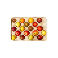 Volledig afbreekbare papierpulp fruitbak, milieuvriendelijke gevormde vezelverpakking voor appels, peren en perziken, biologisch afbreekbare productenverpakking.