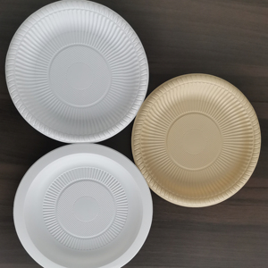 Assiettes rondes jetables Liyi en fibre de bambou écologiques, 50 pièces, compatibles micro-ondes et congélateur, biodégradables et compostables pour les fêtes - Product Image 6