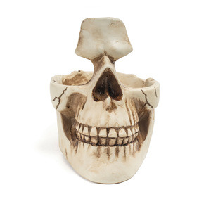 Regalo Personalizado de Halloween, Estatua de <span class=keywords><strong>Calavera</strong></span> de Resina, Adorno Artesanal, Decoración de Jardín, <span class=keywords><strong>Maceta</strong></span> para Plantas Suculentas - Product Image 3