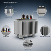 Transformateur de distribution triphasé immergé dans l'huile S11 pour usage agricole et parcs industriels, 20kVA, 25kVA, 30kVA, 6kV, 10kV
