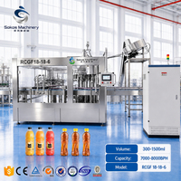 Sokos Complete Sapverwerkings- en afvulmachine, machine voor het afvullen van warme dranken, turnkey sapverwerkings- en afvulinstallatie