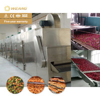 Séchoir à bande transporteuse continue pour aliments pour animaux de compagnie, raisins, myrtilles, algues, piments, herbes, noix de coco