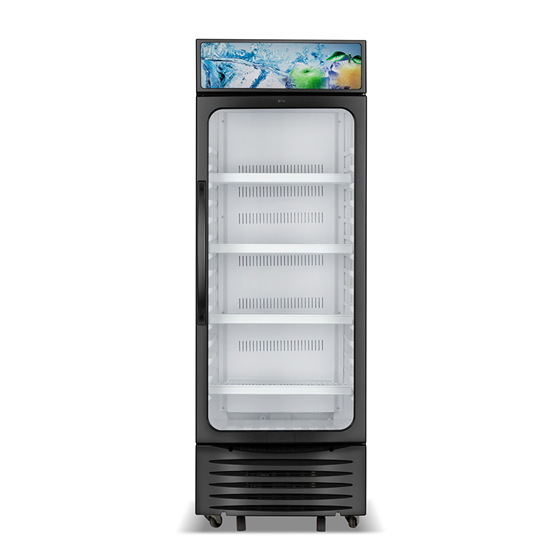single glass door fridge