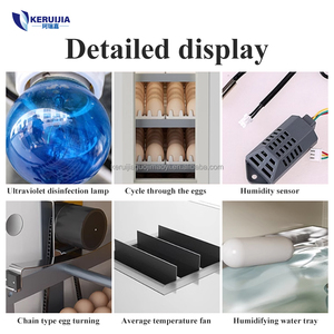 Incubadora de Aves de Corral Comercial Automática Completa, Económica, con Capacidad para 352 Huevos - Product Image 3