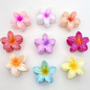 Pinces à cheveux en <span class=keywords><strong>plastique</strong></span> à motif floral tropical Hawaïen dégradé <span class=keywords><strong>de</strong></span> fleurs <span class=keywords><strong>de</strong></span> frangipanier, accessoires pour l'été et la plage, vente en gros - Product Image 2