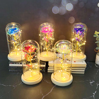 Lampes LED sous dôme en verre, cadeau pour la fête des mères, Noël, fleurs et plantes préservées en plastique, rose éternelle, rose de la galaxie, rose éternelle pour femmes
