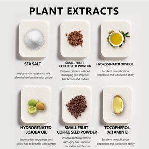 Nhãn Hiệu Riêng Chăm Sóc Tóc Làm Sạch Sâu Kiểm Soát Dầu Chống Fluffy Và Ngứa Muối Biển Dầu Argan Nhẹ Nhàng Da Đầu Tẩy Tế Bào Chết Da Đầu Chà - Product Image 4