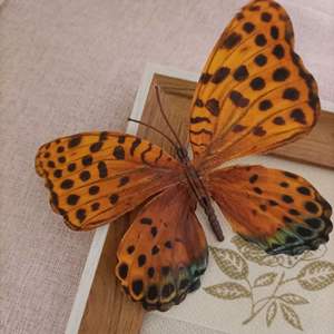 Barrette Papillon Fille Princesse Mignonne Super Féerique Accessoire Cheveux Enfant Vente en Gros Pince à Frange Latérale - Product Image 3