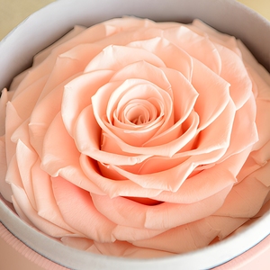 Rose équatorienne en boîte ronde, vente chaude 2026, cadeau pour la fête des mères, mariage, anniversaire, rose éternelle personnalisée, vente en gros, directement de l'usine - Product Image 4