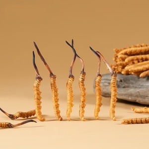 동충하초 Sinensis AD 생 슬라이스 옐로우 1kg 계절 오리지널 패키지 건조 용품 도매 선물 상자 - Product Image 3