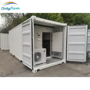 Plug and Play 40ft Container 20ft Sala De Armazenamento Frio