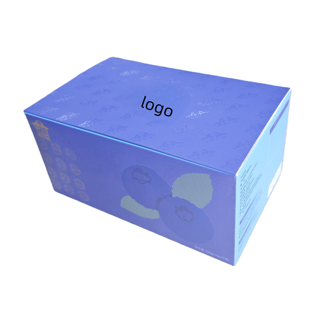 Luxury Premium Square Customizable Cartons with Magnet Closure Large Size Packaging Box With Logo Rigid Card Box for Electronics