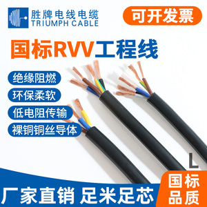 Valvoline Rvv Pure Copper Power Cable 2 Core 0.5mm 1.5mm 4mm With Sheathing For Equipment Wiring - Product Image 4