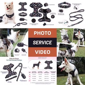 2025 nuevo conjunto de arnés de lujo personalizado para perros, fabricantes ajustables con logotipo personalizado, arnés para perros sin tirones, correa para perros