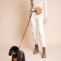 Harnais pour chien personnalisé anti-traction avec 3 boucles et poignée de sécurité, ensemble collier et laisse personnalisable, fabricant de harnais de luxe pour chien