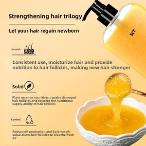 Champú de jengibre de etiqueta privada para el crecimiento del cabello y la prevención de caídas Cuidado del cabello natural con acondicionador Evita la caída del cabello - Product Image 3