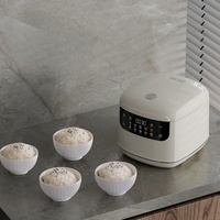 Penanak nasi listrik Digital portabel, 2L ketel Mini multifungsi untuk penggunaan rumah dapur