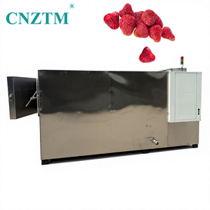 Machine de lyophilisation industrielle automatique en acier inoxydable 304, équipement de déshydratation sous vide haute efficacité pour fruits (pommes) - Product Image 2