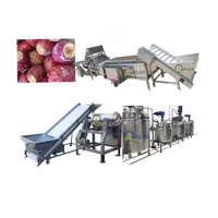 Industriële Stekelige Peer Vruchtensap Concentraat Pulp Jam Verwerkende Machine Fabriek