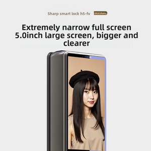 Sharp H5 Cat Eye Grote 3D Gezichts- en Palmaan-veinscanner Anti-diefstal Aluminium Deurvergrendeling WIFI Digitale Saffier Paneel Hout Cloud - Product Image 3