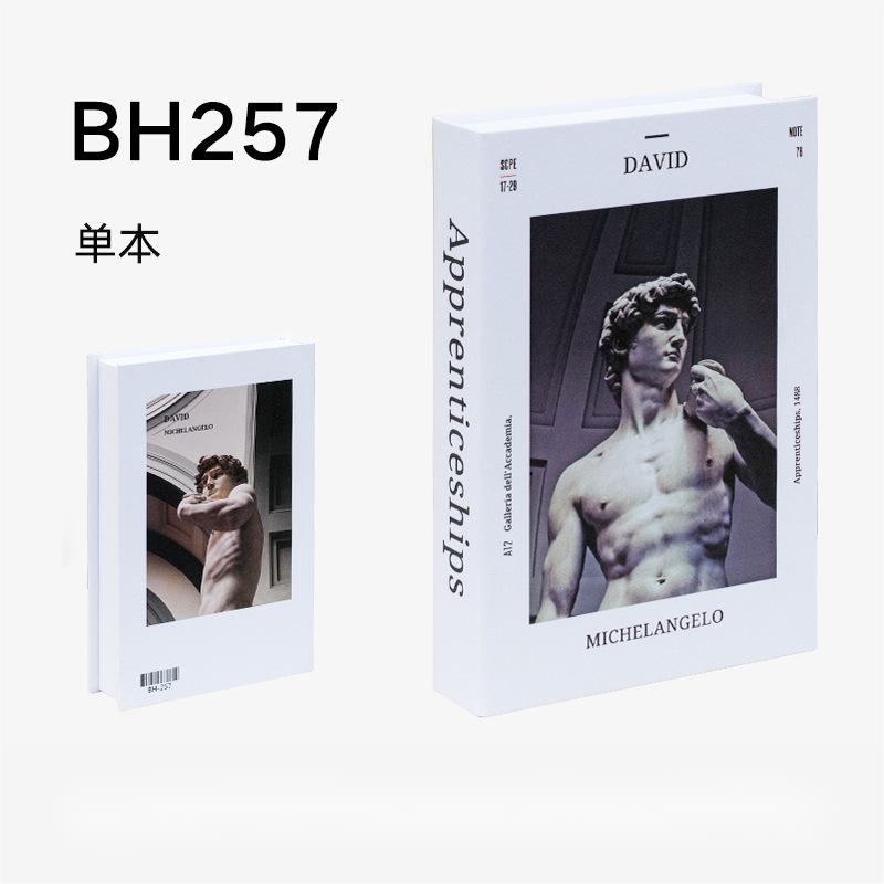 4-BH-257 26.7*17*4.3cm