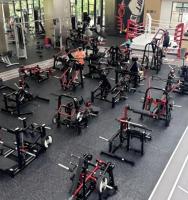 Appareil de musculation professionnel réglable pour le levage des mollets assis, ciblant les muscles du mollet (Soleus) pour l'entraînement en force