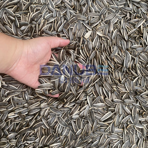 เครื่องอบเมล็ดทานตะวันแบบไมโครเวฟขั้นสูง อุปกรณ์อบแห้งเมล็ดทานตะวัน - Product Image 4