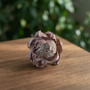 Sola Wood Artificial Decorative <b>Flowers</b> Plants Thailand Dried Reed <b>Diffuser</b> Home Decor Wedding Bulk Wholesale White - Product Image 2