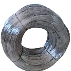 Alambre de acero con resorte de alambre de acero de alto carbono galvanizado de 1,0mm o para red de pesca para conducto Flexible En10269